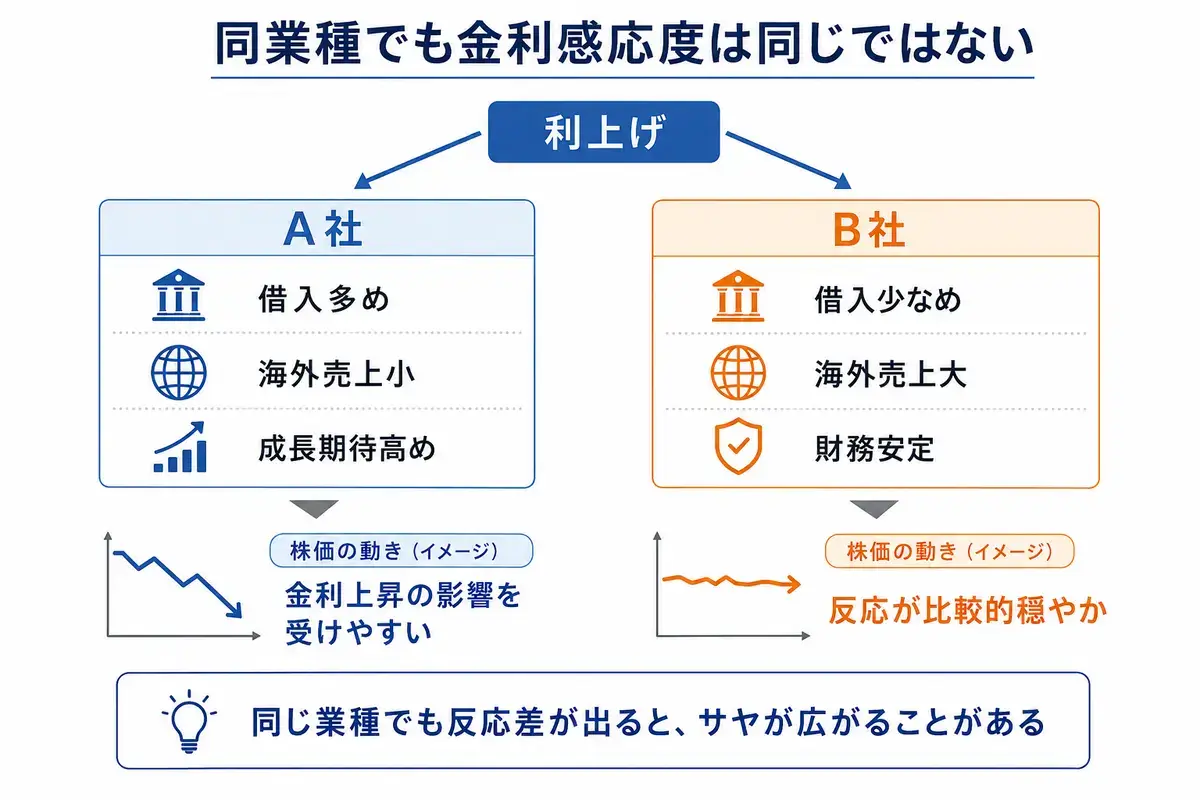 金利の増減に対する反応度の違いの図解