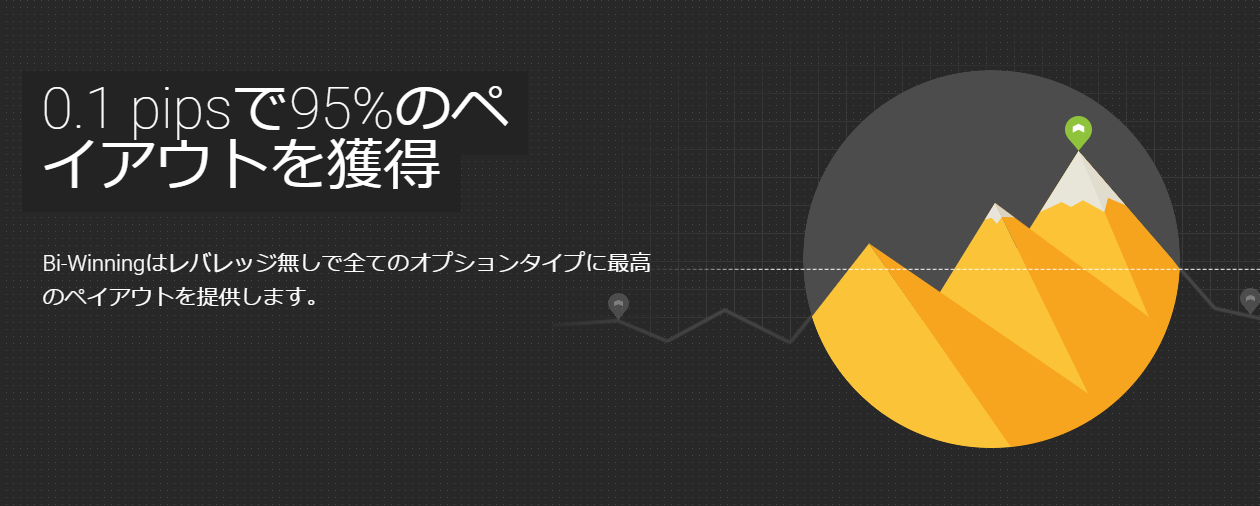 Bi-Winning公式ページ